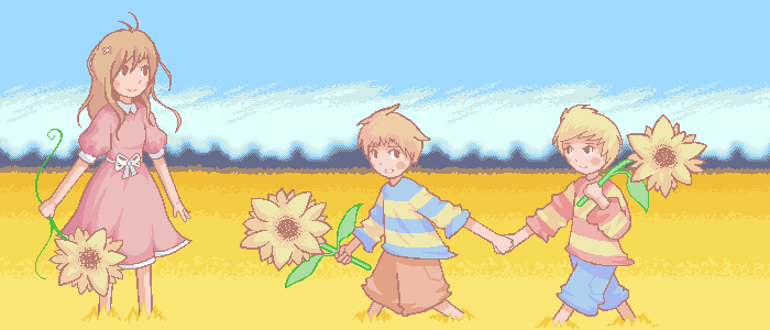 Sunflower Fields