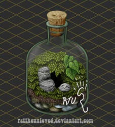 Terrarium in a bottle Cozy Minimap.