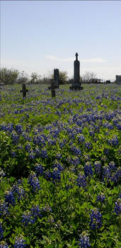 Bluebonnet Cemetery