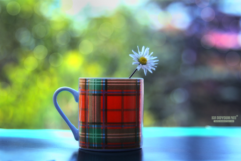 Plaid cup