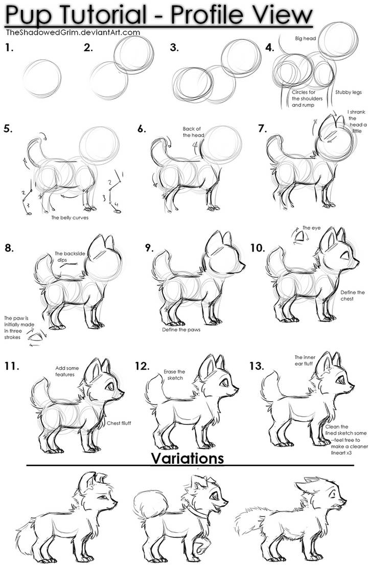 Pup tutorial by TheShadowedGrim