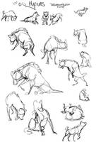 Hyena Sketches - Free poses
