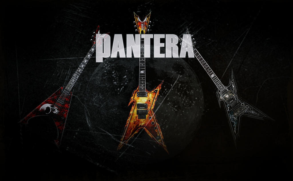 Pantera by vegetaprincesaiyan on DeviantArt