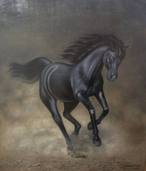 Arabian horse