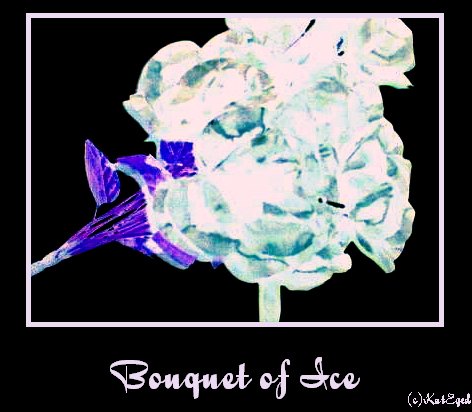 Bouquet of Ice