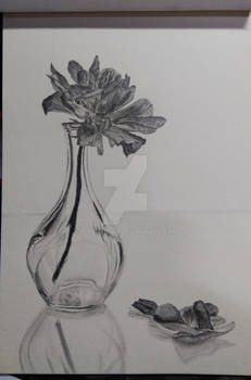 Flowers in a glass vase