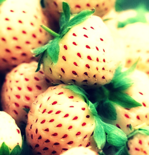 White Strawberries