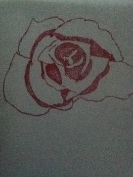 Hand drawn rose