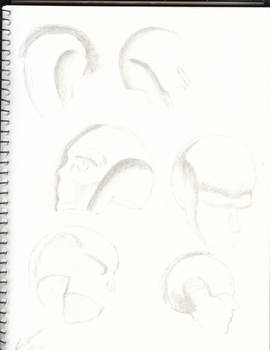 Practice Heads