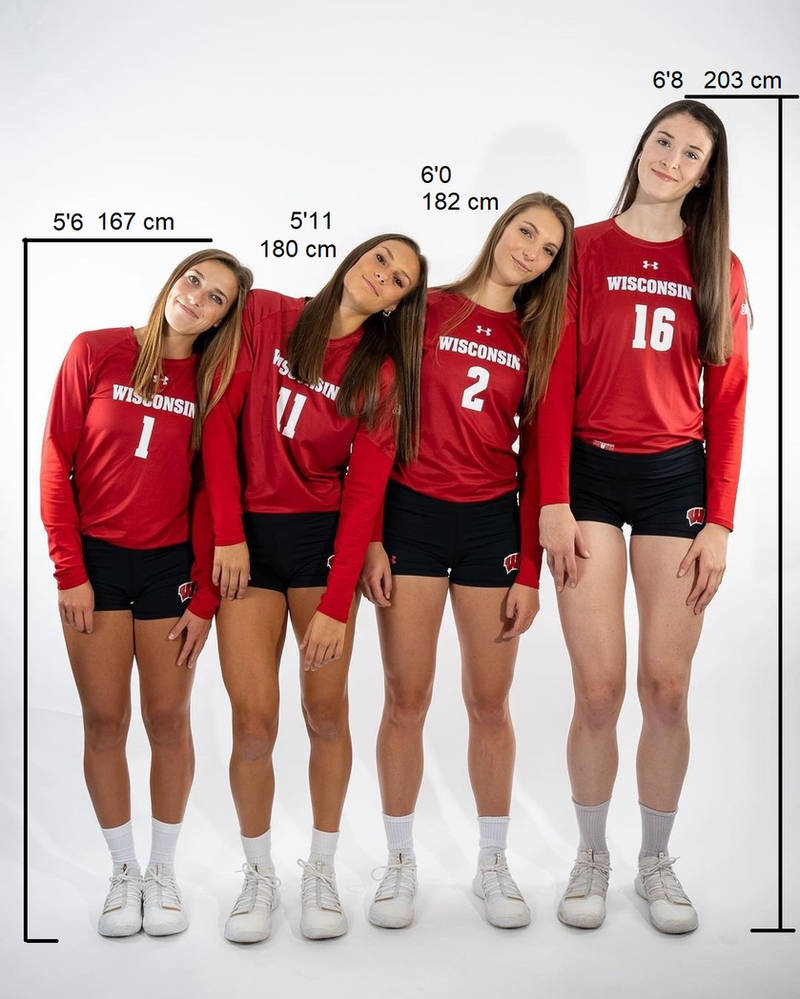Wisconsin Volleyball Team Height Comparison by Cloverfield12 on DeviantArt