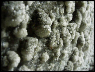 Salt formations