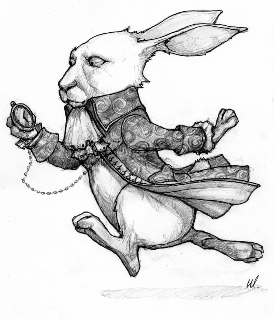 Costume Sketch - White Rabbit