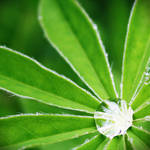 water drop by itsRisingLove