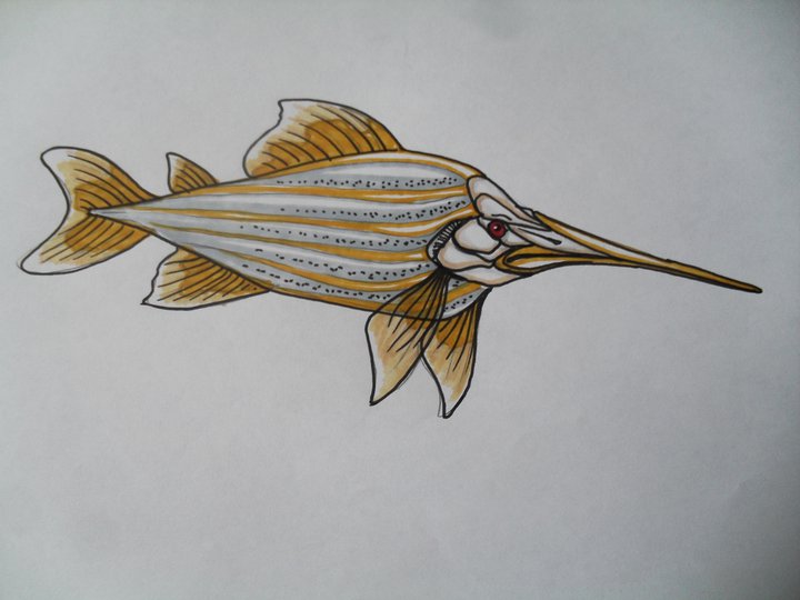 alternative evolution primitive fish by t-rex79 on DeviantArt