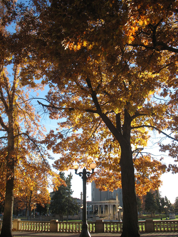 Fall At Civic Center Park