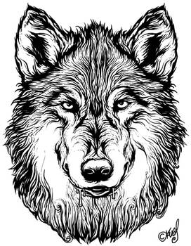 Wolf tattoo