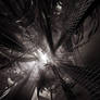 _visua exp II