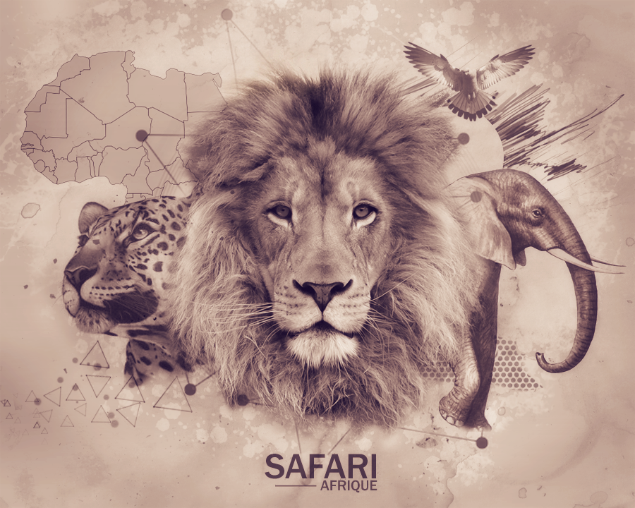 Safari