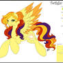 Reference Sheet Twilight Sun