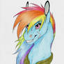 Rainbow Dash Portrait