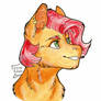 Babs Seed