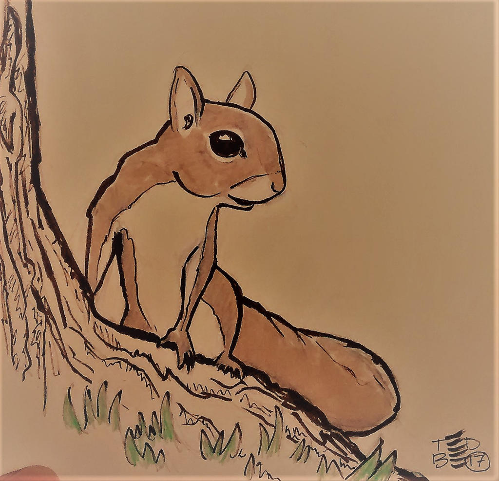 Squirrel