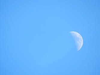 Moon by day