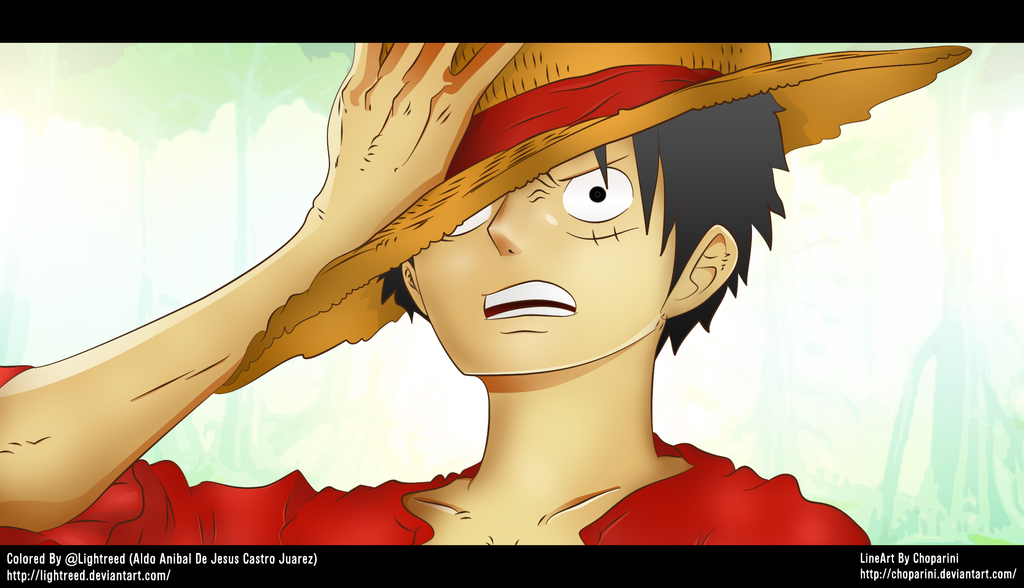 Monkey D Luffy Time Skip by lightreed on DeviantArt
