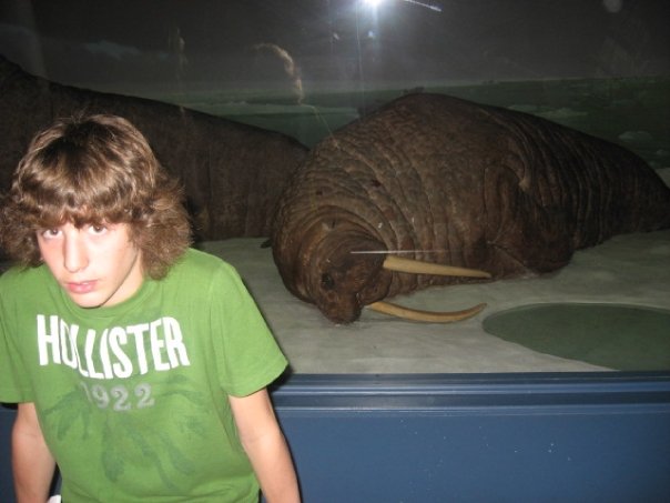 Alex and the Walrus 8D