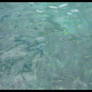 Crystal Clear Fish 2