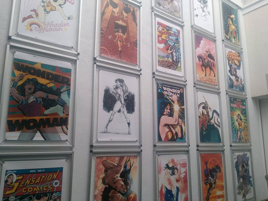 Wonder Woman Library Display Wonder Woman Wall by Panquem on DeviantArt