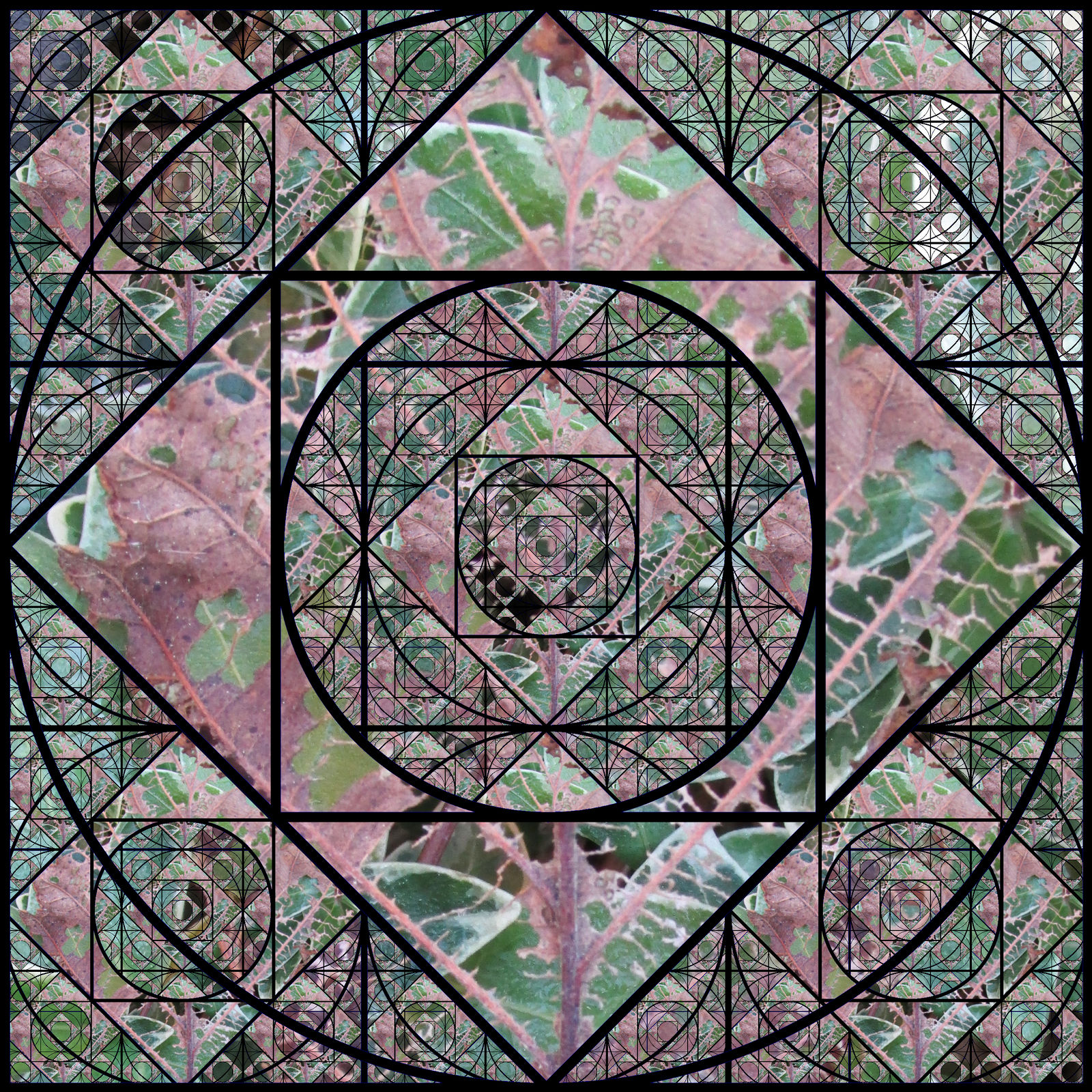 Growth and Decay Fractal CNC - 3a by Optoskept on DeviantArt