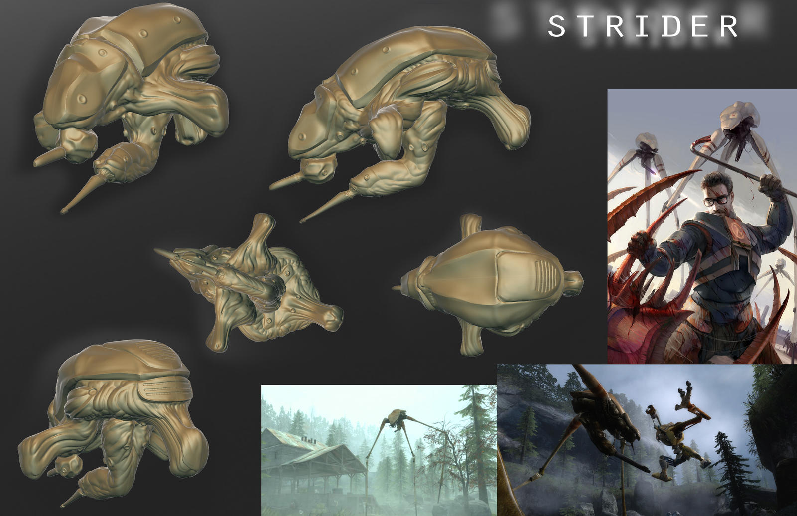 Strider model