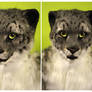 Cosmo Snow Leopard (headshots)