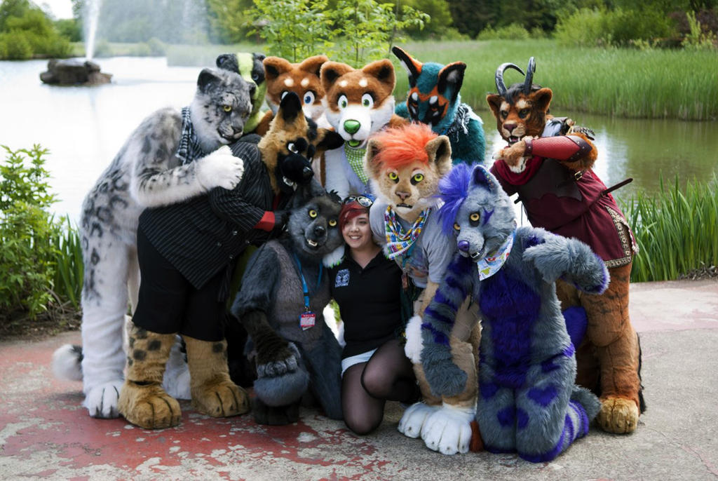 Confuzzled 2013