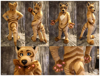 Kyrro Fullsuit