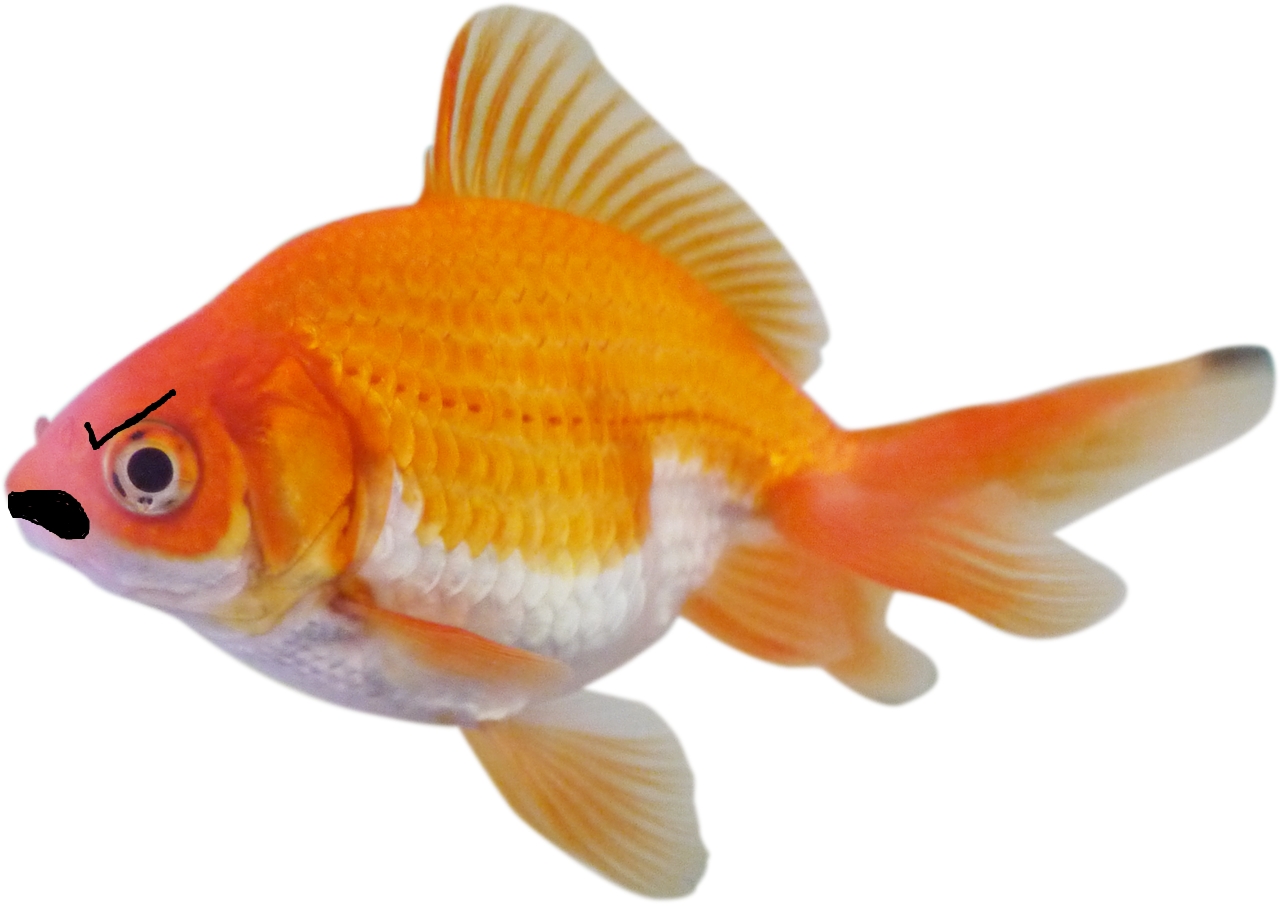 Fishshaped