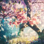 Dreamy Scene Of Cherry Blossoms In Full Bloom. AI.