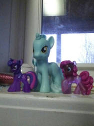 Ponies available for customizing~