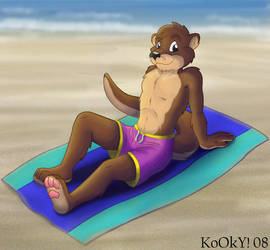 Beached Otter