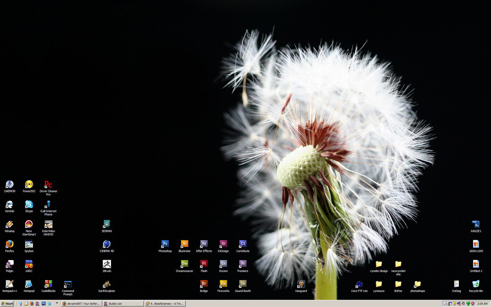 Cyno Desktop.