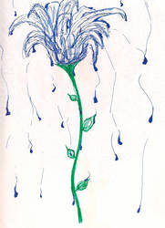 Blue Flower cryi--err Raining