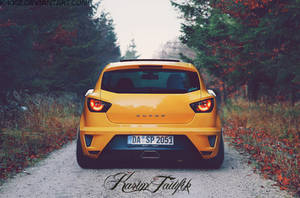 Seat - Ibiza/Cupra