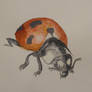 Quick Watercolor Lady bug.