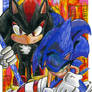 Sonic Hurt With Shadow