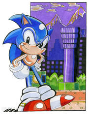 Sonic At Spring Zone