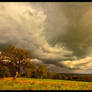 Distant Rain