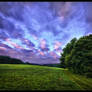 Twilight World
