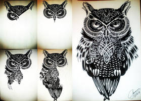 Owl #3