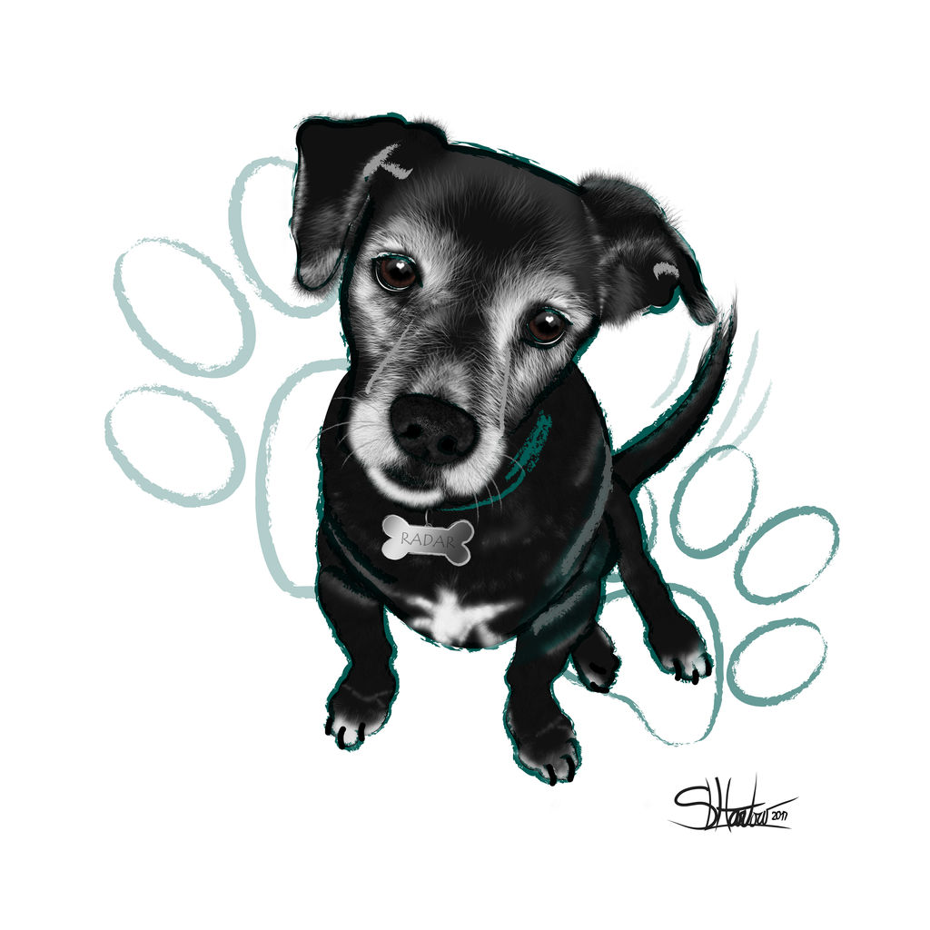 Radar by lilyinblue